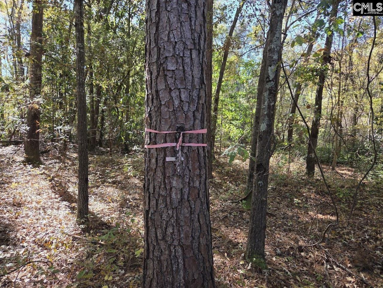 17 Five Bridges Road Photo 7