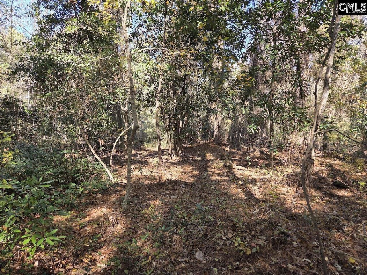 17 Five Bridges Road Photo 8