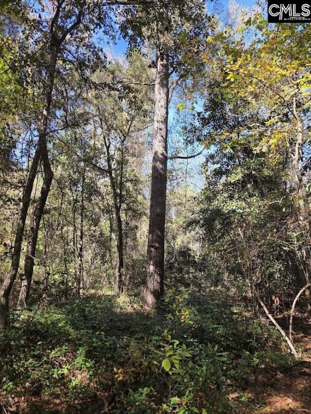 17 Five Bridges Road Photo 9