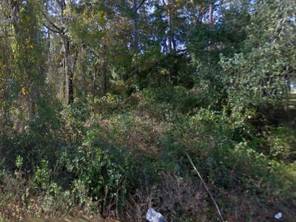 SE 172ND AVENUE, SILVER SPRINGS, FL 34488