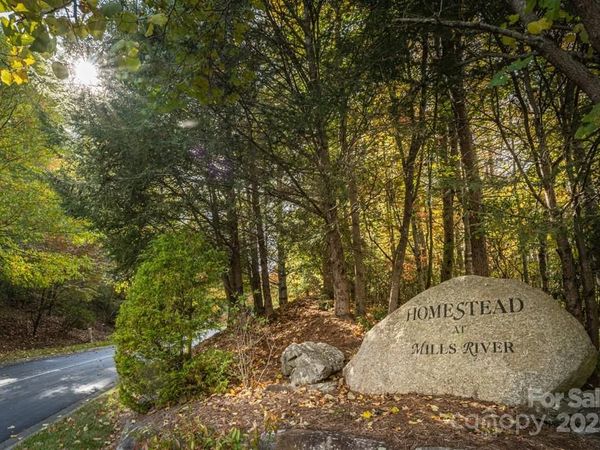 99999 Shining Rock Path , Horse Shoe, NC 28742