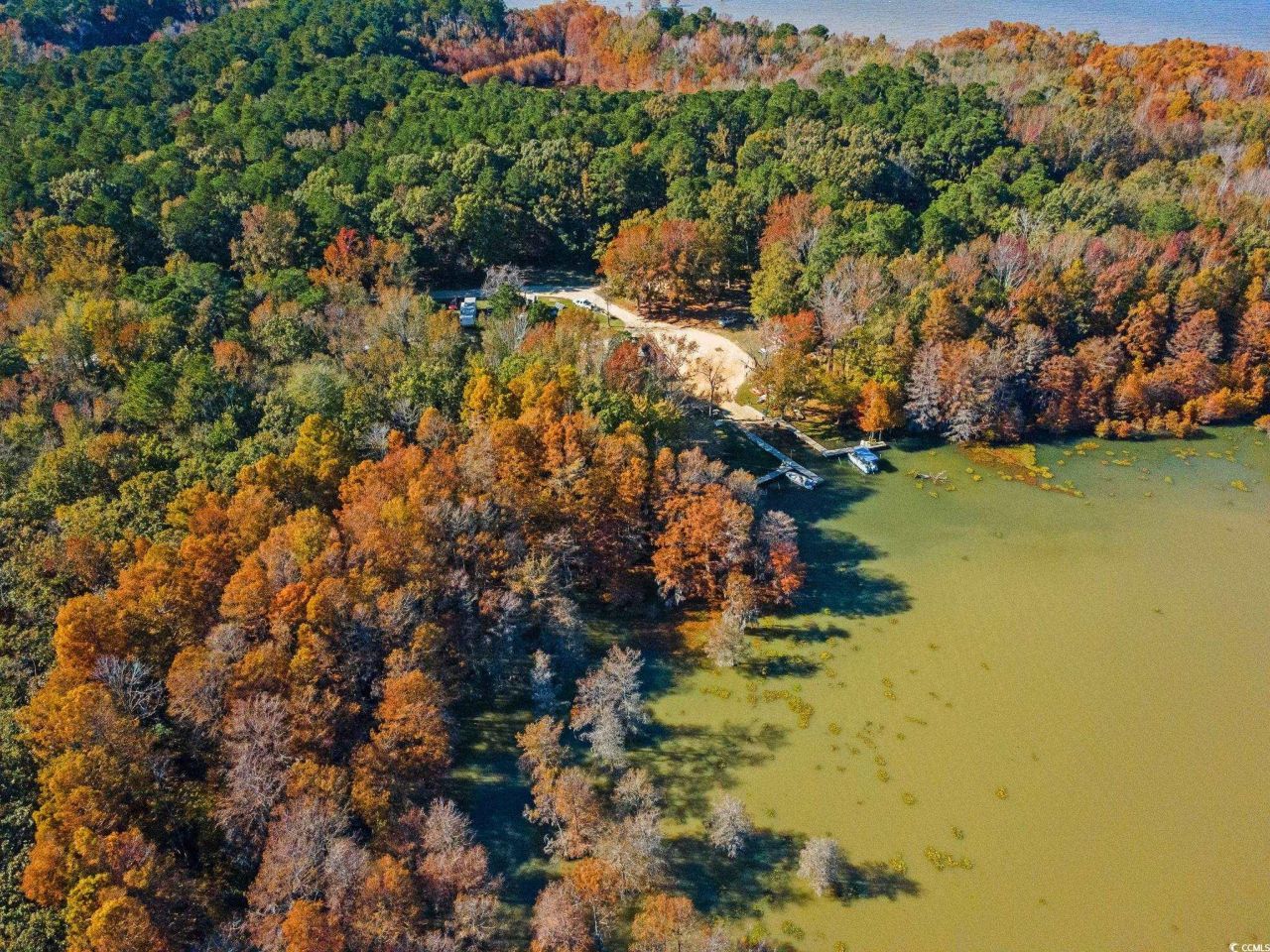 740 Ferguson Landing Way Photo 14