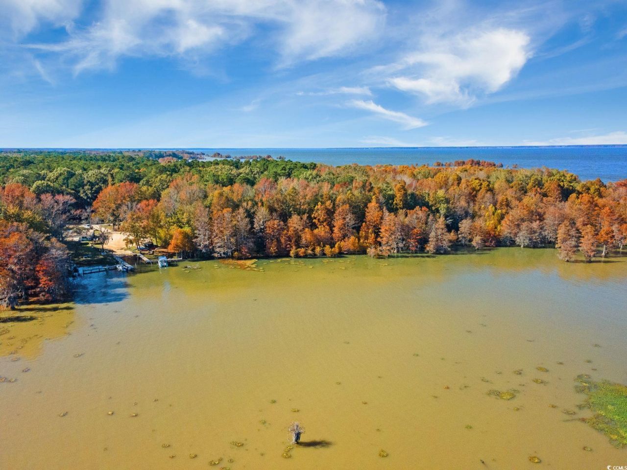 740 Ferguson Landing Way Photo 5