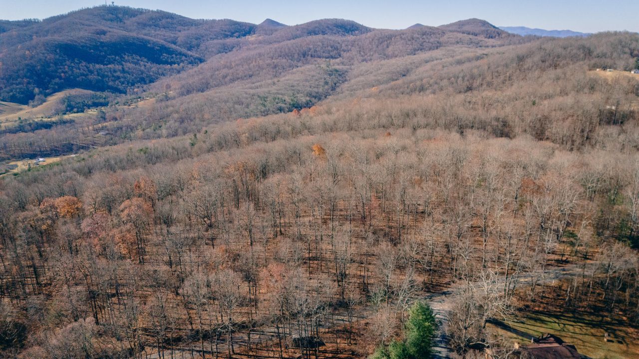 0 Bore Auger Rd, Blue Ridge, VA 24064 Main Photo