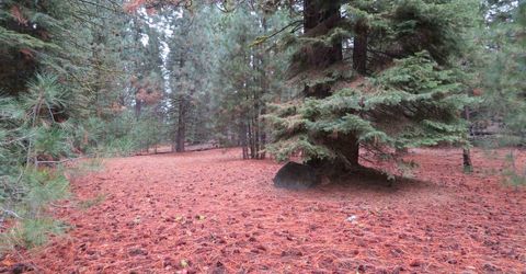 740 Feather River Drive, Chester, CA 00000 Photo