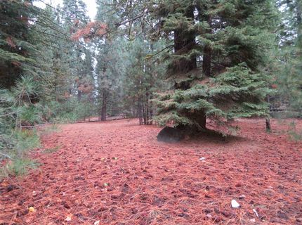 740 Feather River Drive, Chester, CA 00000 Photo