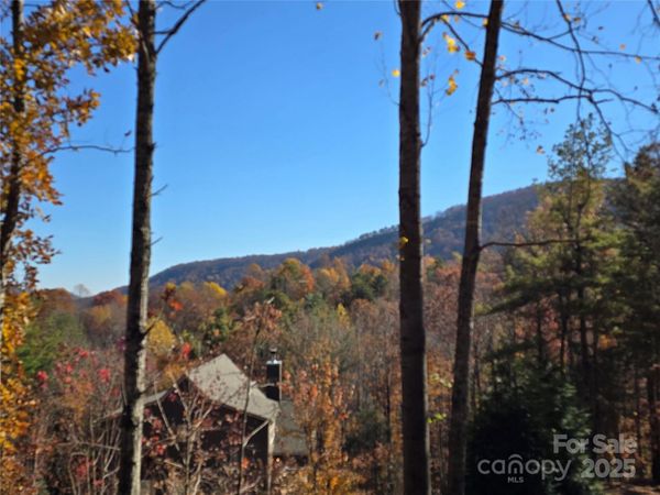 295 S Feather Falls Trail, Black Mountain, NC 28711
