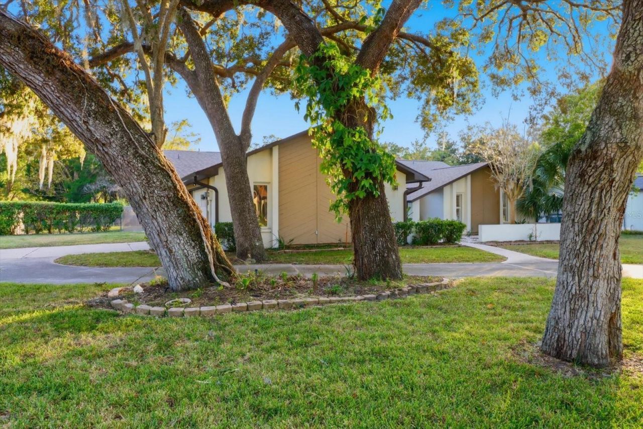 11806 W Riverhaven Drive, Homosassa, FL 34448 Photo