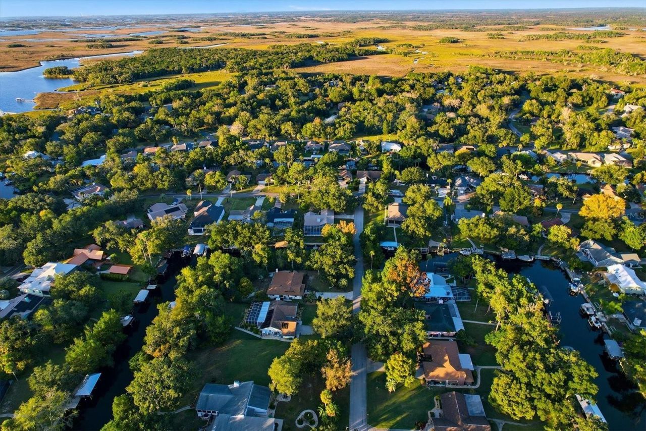 11806 W Riverhaven Drive, Homosassa, FL 34448 Photo