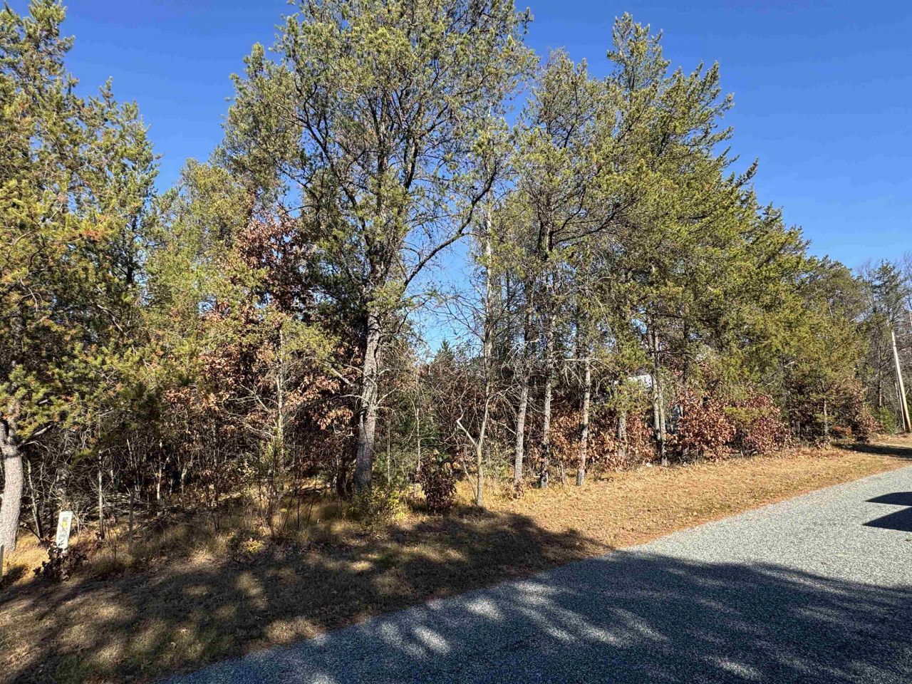 Lot 68 Whistling Wings, New Lisbon, WI 54650 Main Photo
