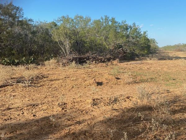 TBD Cr 168, Floresville, TX 78114