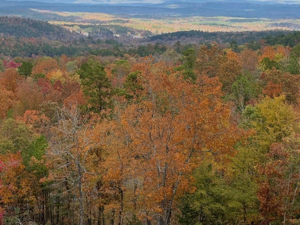 Lot 22 MOST HIGH Loop, Hot Springs, AR 71901