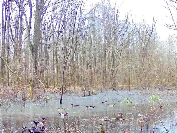 0 Howard Street, Marks, MS 38646