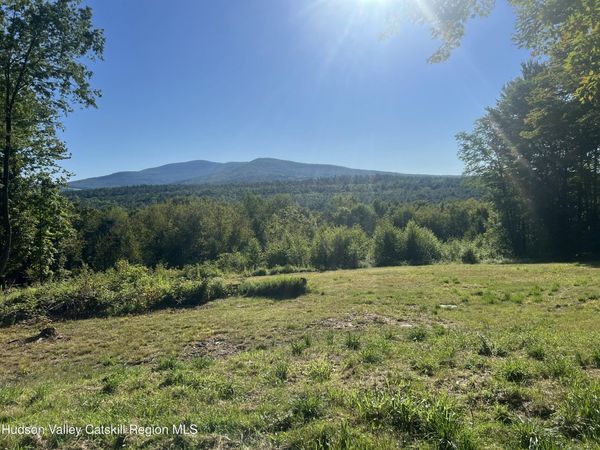 0 Blueberry Estate, Prattsville, NY 12468