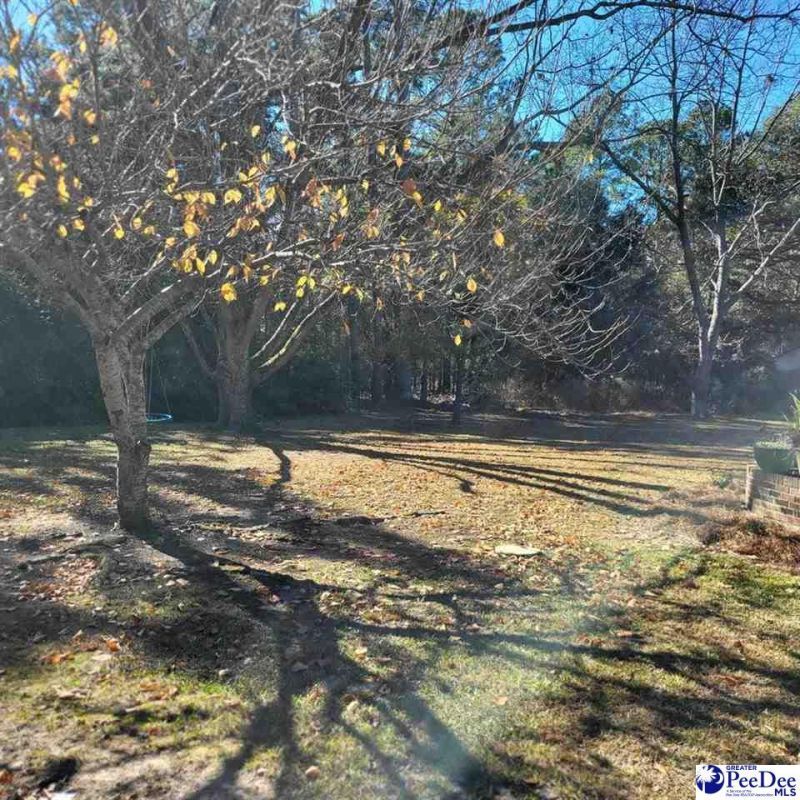 416 Pine Hill Rd Photo 20