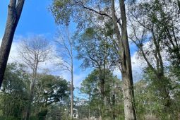 1962 Bradham Road photo 4