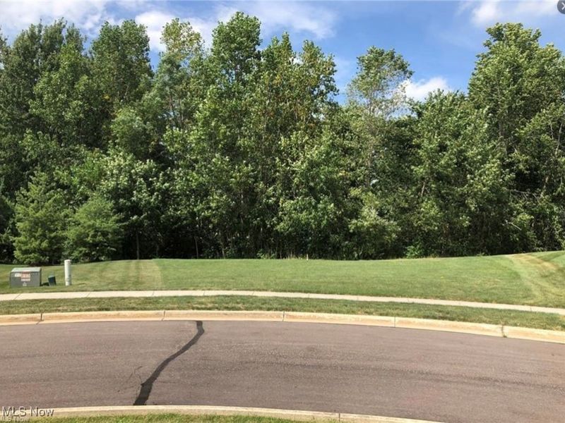 1612 Mids Court, Streetsboro, OH 44241 Photo 5