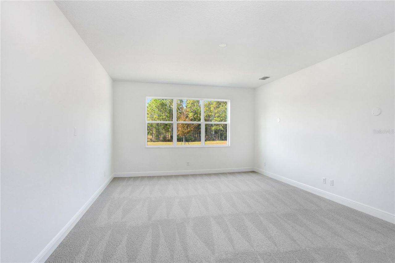 1971 Drummond Point, Zephyrhills, FL 33541 Photo