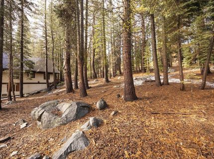 6303 Tamarack Way, Soda Springs, CA 95728 Photo