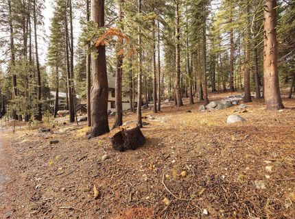 6303 Tamarack Way, Soda Springs, CA 95728 Photo