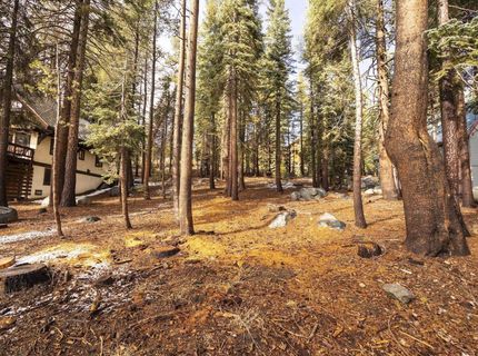 6303 Tamarack Way, Soda Springs, CA 95728 Photo