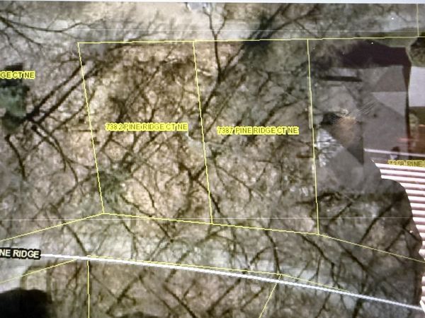 7382-7387 Pine Ridge Court, Belding, MI 48809