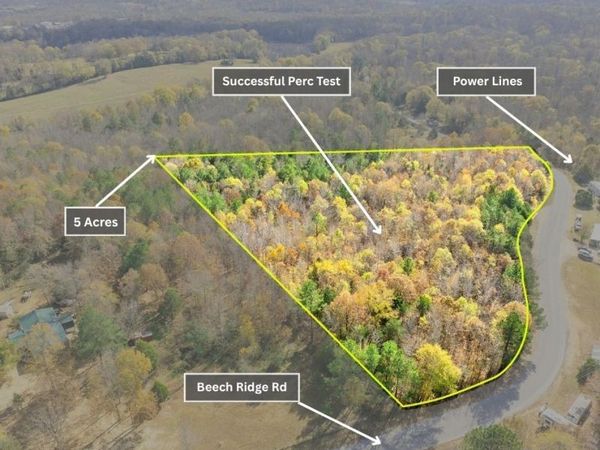 0 Beech Ridge Road, Parsons, TN 38363