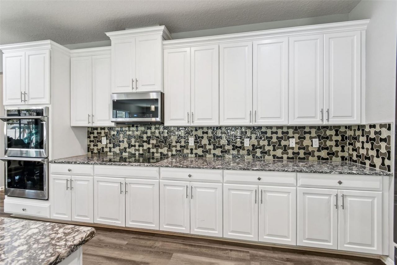 11748 Albatross Lane, Riverview, FL 33569 Photo