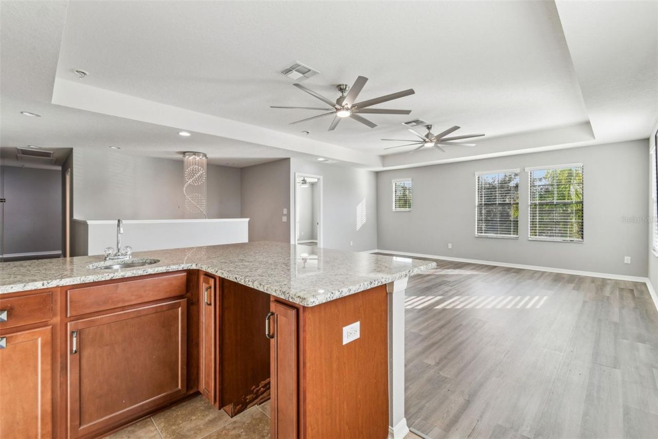 11748 Albatross Lane, Riverview, FL 33569 Photo