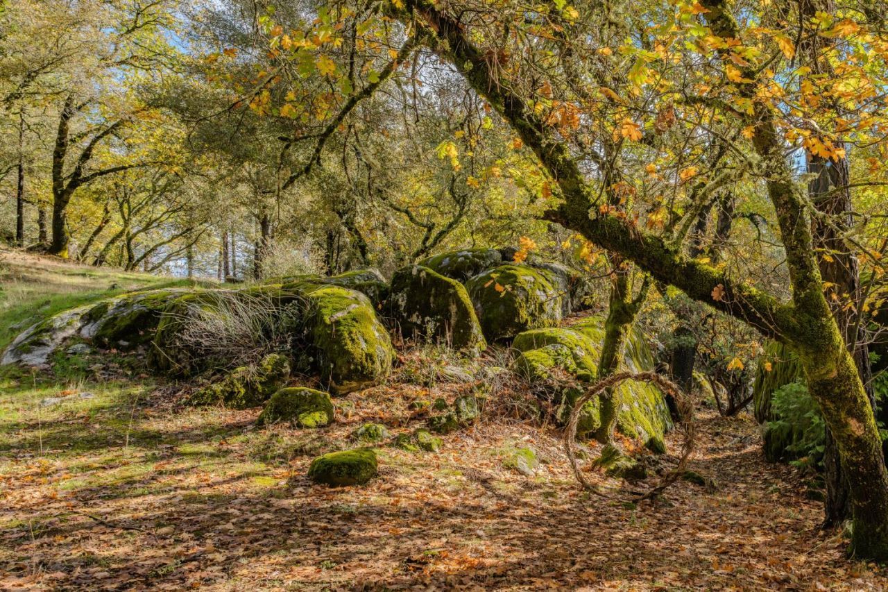 Please Call For Address, Fiddletown, CA 95629 Photo