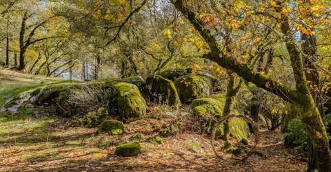 Please Call For Address, Fiddletown, CA 95629 Photo