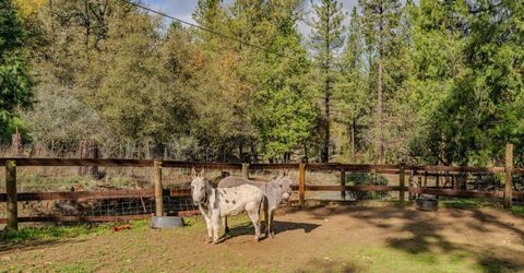 Please Call For Address, Fiddletown, CA 95629 Photo