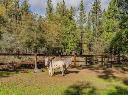 Please Call For Address, Fiddletown, CA 95629 Photo