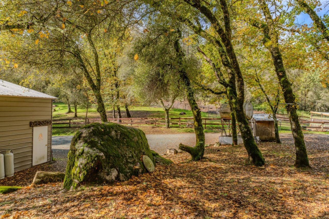 Please Call For Address, Fiddletown, CA 95629 Photo