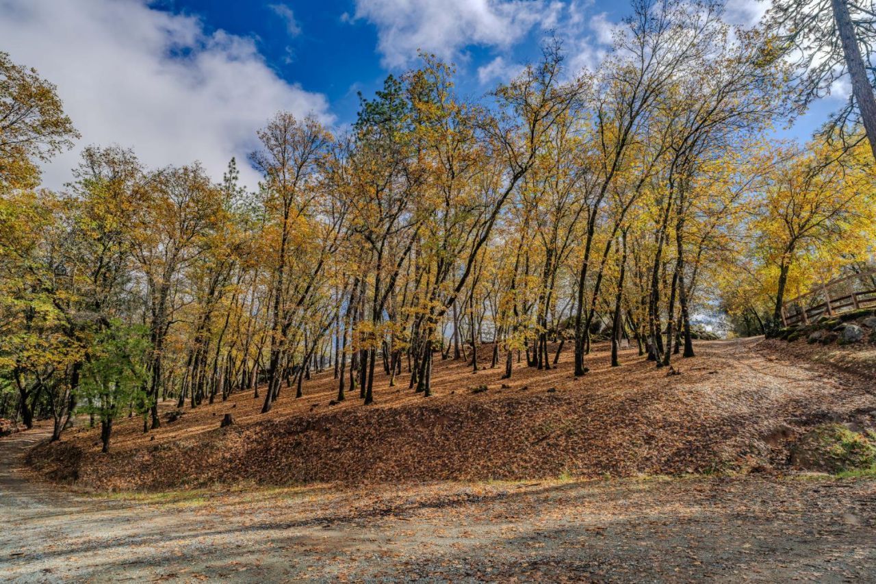 Please Call For Address, Fiddletown, CA 95629 Photo