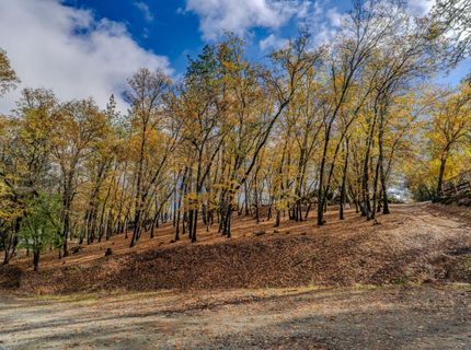 Please Call For Address, Fiddletown, CA 95629 Photo