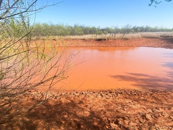 TBD 80 Acres CR 150, Tuscola, TX 79562