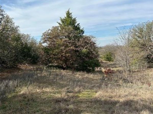 1721 PRARIE GROVE RD , Valley View, TX 76272