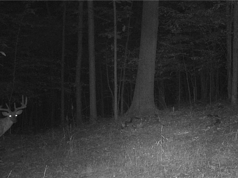 County Road 33 County Road 33, Warsaw, OH 43844 Photo 10