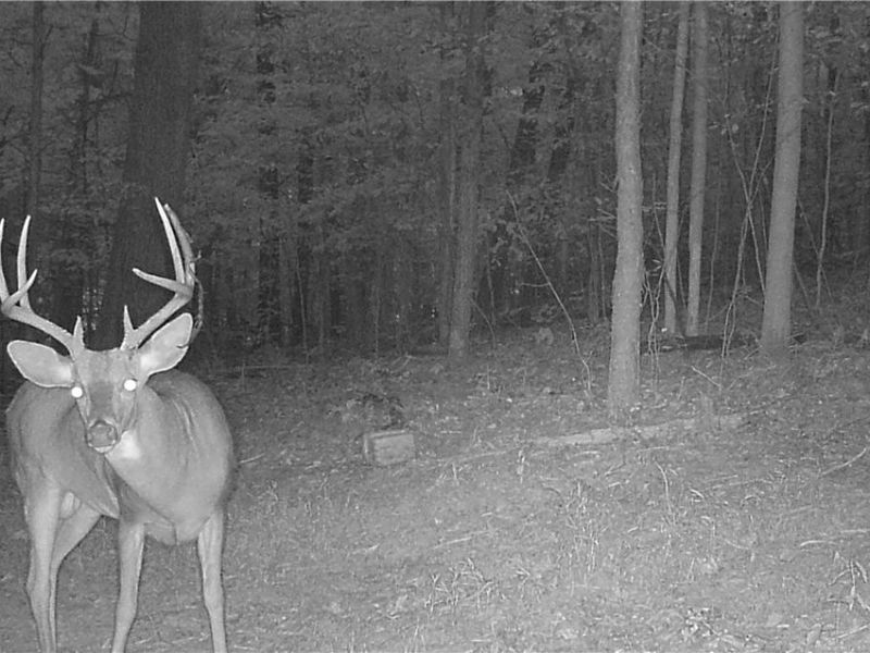 County Road 33 County Road 33, Warsaw, OH 43844 Photo 11