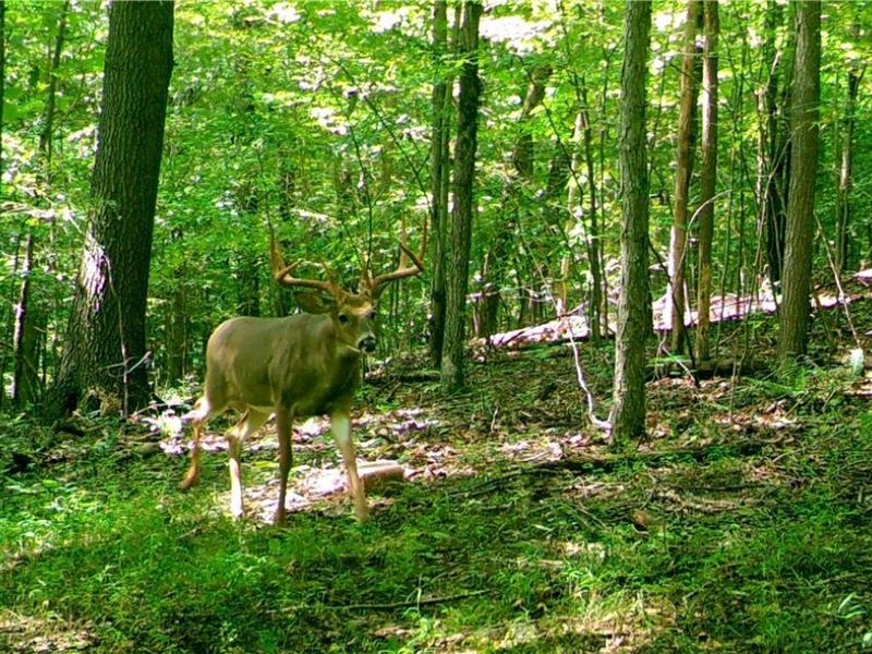 County Road 33 County Road 33, Warsaw, OH 43844 Photo 12