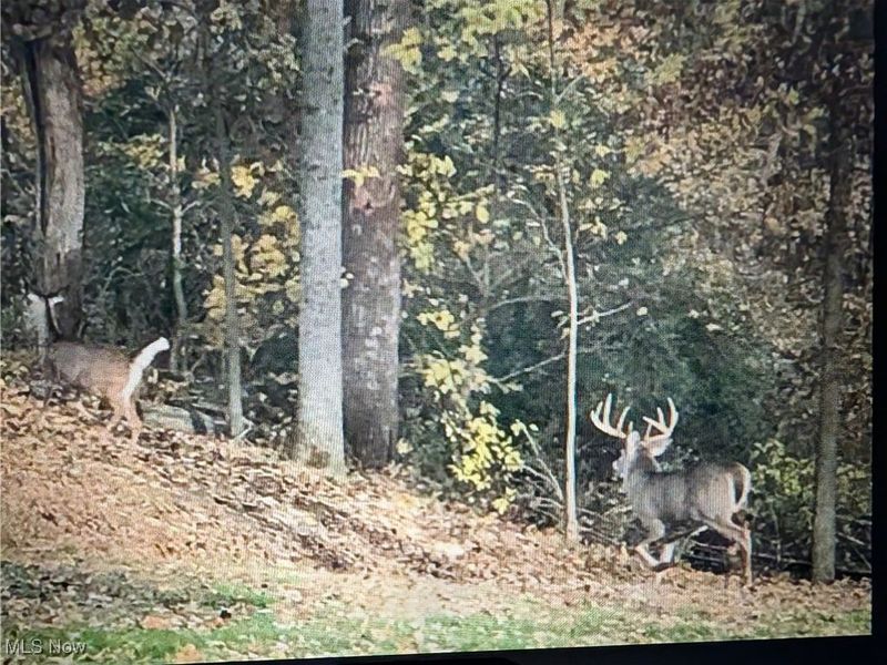 County Road 33 County Road 33, Warsaw, OH 43844 Photo 13