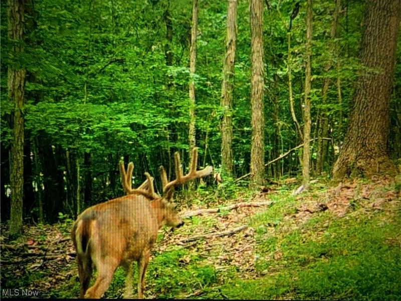 County Road 33 County Road 33, Warsaw, OH 43844 Photo 14