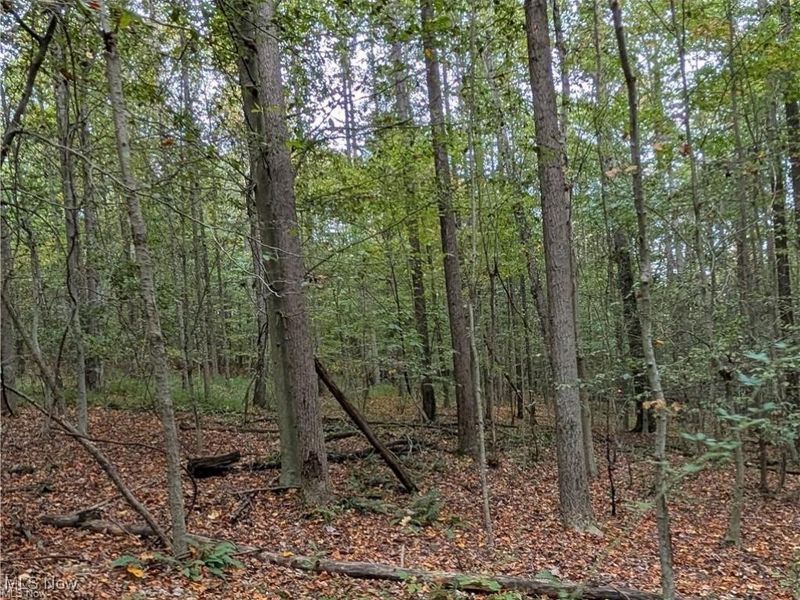 County Road 33 County Road 33, Warsaw, OH 43844 Photo 2