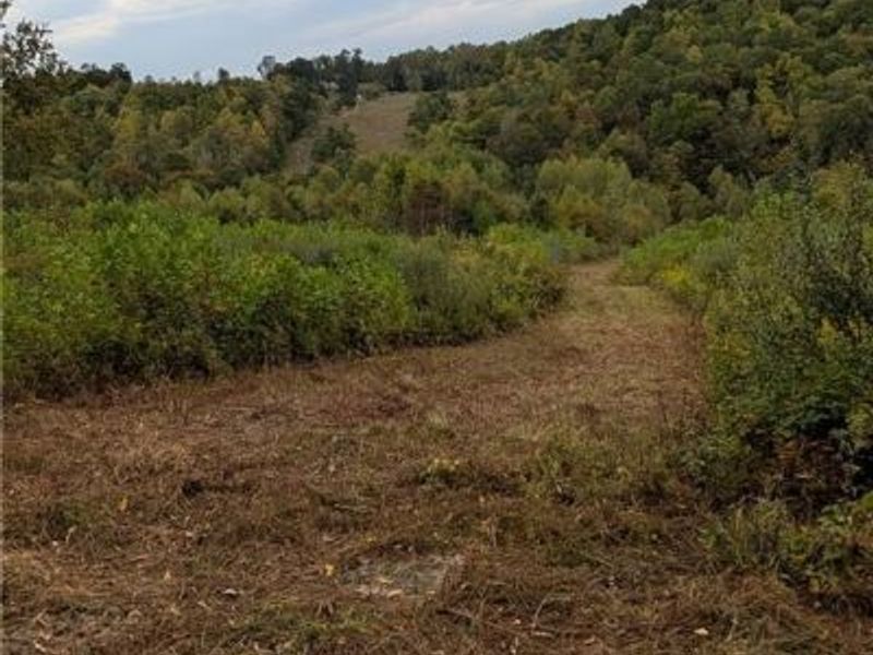 County Road 33 County Road 33, Warsaw, OH 43844 Photo 4