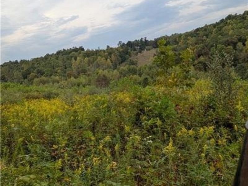 County Road 33 County Road 33, Warsaw, OH 43844 Photo 5