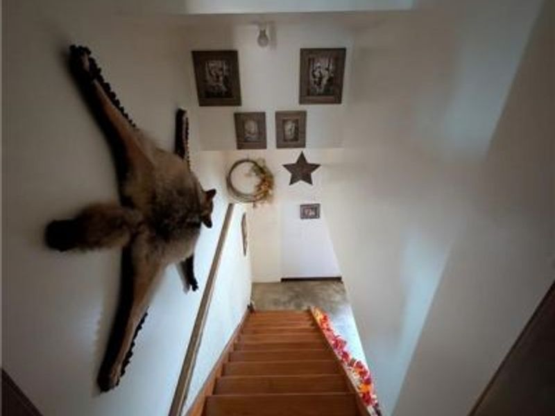 39843 County Road 33, Warsaw, OH 43844 Photo 5