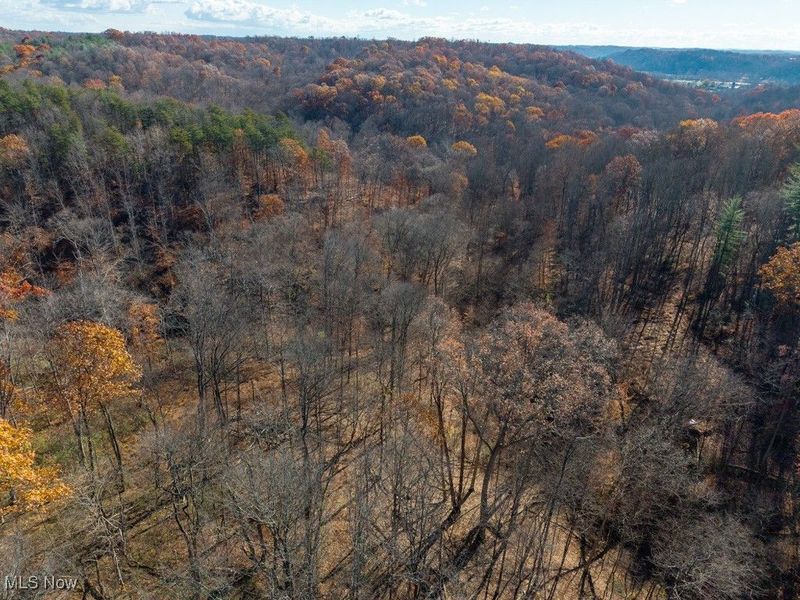 0 State Route 530, Lowell, OH 45744 Photo 16