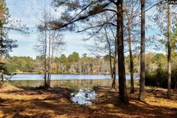 42 Brookwood Road  photo 4