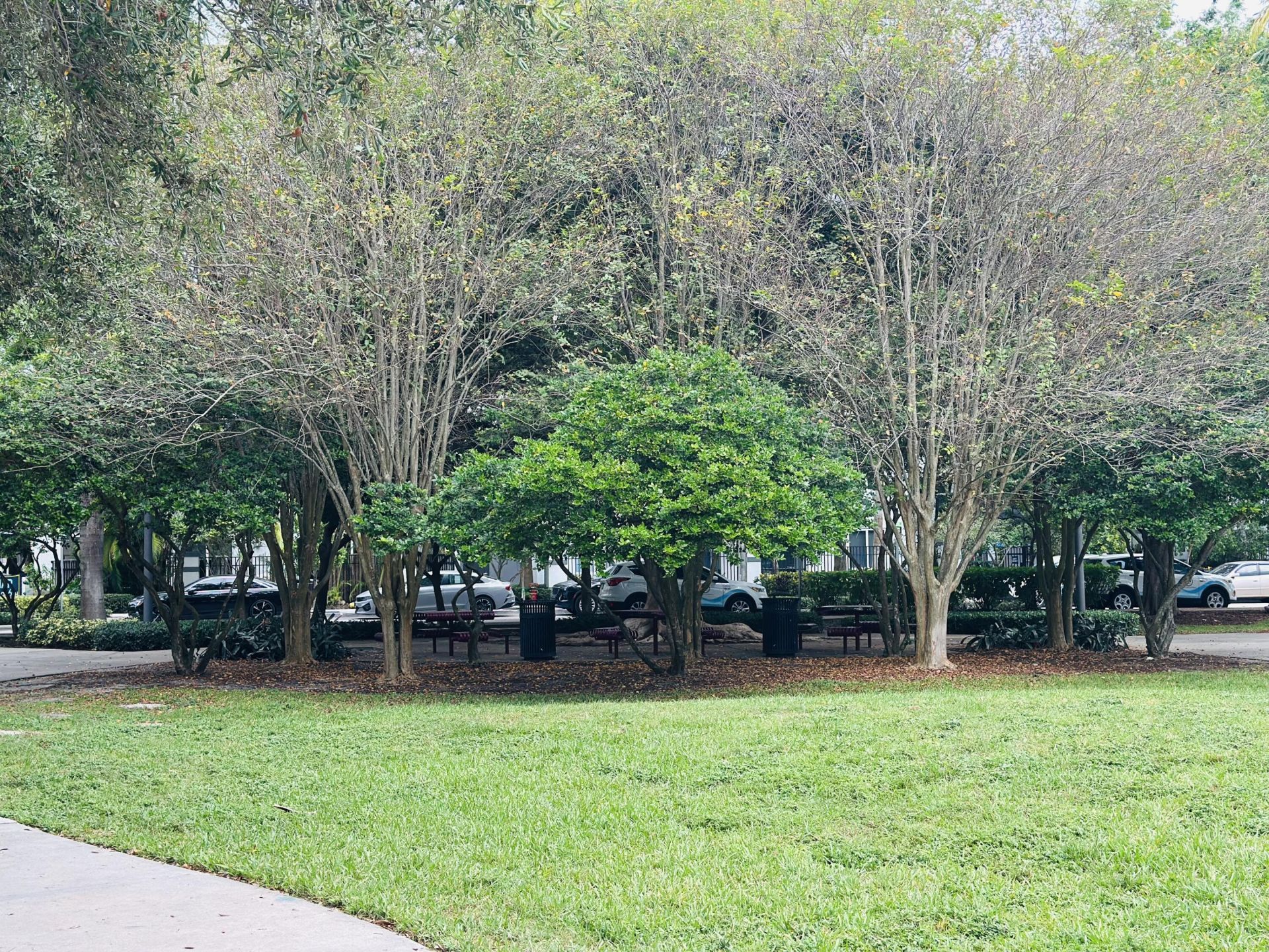 533 NE 3rd Avenue, Unit 341, Fort Lauderdale, FL 33301 Photo